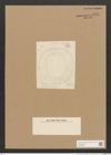 Diatomeae indet. (de-Toni-Nr.: Species 0104 ?) Zeichnungen Sammlung Grunow Nr. 5041 (NHMW-BOT-W0373300)